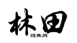 胡問遂林田行書個性簽名怎么寫
