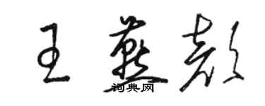 駱恆光王燕顏草書個性簽名怎么寫