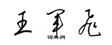 梁錦英王軍飛草書個性簽名怎么寫