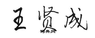 駱恆光王賢成行書個性簽名怎么寫