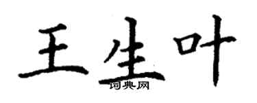 丁謙王生葉楷書個性簽名怎么寫