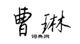 王正良曹琳行書個性簽名怎么寫