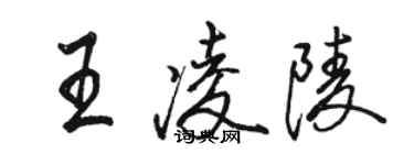 駱恆光王凌陵行書個性簽名怎么寫