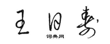 駱恆光王日壽草書個性簽名怎么寫