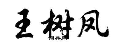 胡問遂王樹鳳行書個性簽名怎么寫