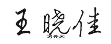 駱恆光王曉佳行書個性簽名怎么寫