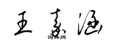 梁錦英王嘉涵草書個性簽名怎么寫