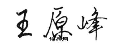 駱恆光王原峰行書個性簽名怎么寫