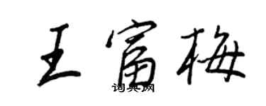 王正良王富梅行書個性簽名怎么寫