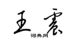 梁錦英王震草書個性簽名怎么寫