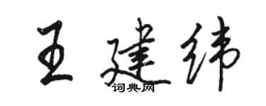 駱恆光王建緯行書個性簽名怎么寫