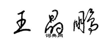 梁錦英王晶鵬草書個性簽名怎么寫