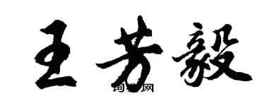 胡問遂王芳毅行書個性簽名怎么寫