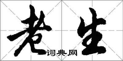 胡問遂老生行書怎么寫