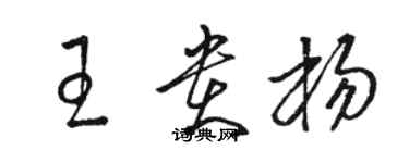 駱恆光王貴楊草書個性簽名怎么寫