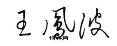 駱恆光王鳳波草書個性簽名怎么寫