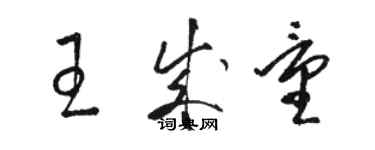 駱恆光王成量草書個性簽名怎么寫