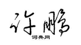 梁錦英許鵬草書個性簽名怎么寫