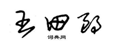 朱錫榮王田朗草書個性簽名怎么寫