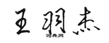 駱恆光王羽傑行書個性簽名怎么寫