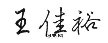 駱恆光王佳裕行書個性簽名怎么寫