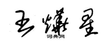 朱錫榮王燁星草書個性簽名怎么寫