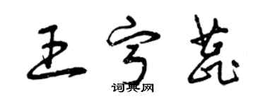 曾慶福王寧蕊草書個性簽名怎么寫