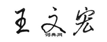 駱恆光王文宏行書個性簽名怎么寫