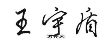 駱恆光王宇盾行書個性簽名怎么寫