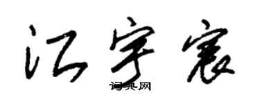 朱錫榮江宇宸草書個性簽名怎么寫