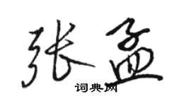 駱恆光張孟行書個性簽名怎么寫