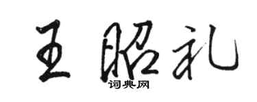 駱恆光王昭禮行書個性簽名怎么寫