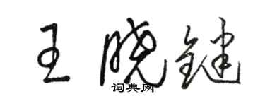 駱恆光王曉鍵草書個性簽名怎么寫