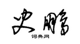 朱錫榮史鵬草書個性簽名怎么寫