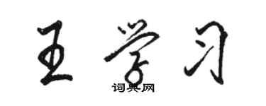 駱恆光王學習行書個性簽名怎么寫