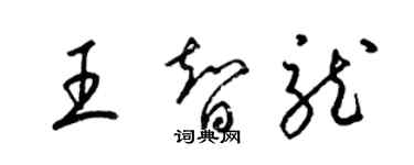 梁錦英王智龍草書個性簽名怎么寫