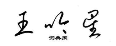 梁錦英王吟星草書個性簽名怎么寫