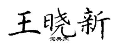 丁謙王曉新楷書個性簽名怎么寫