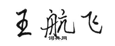 駱恆光王航飛行書個性簽名怎么寫