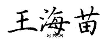 丁謙王海苗楷書個性簽名怎么寫