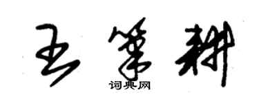 朱錫榮王筆耕草書個性簽名怎么寫