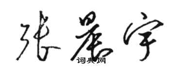 駱恆光張晨宇草書個性簽名怎么寫