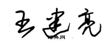 朱錫榮王建亮草書個性簽名怎么寫