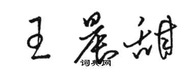 駱恆光王晨甜草書個性簽名怎么寫