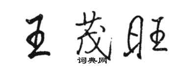駱恆光王茂旺行書個性簽名怎么寫