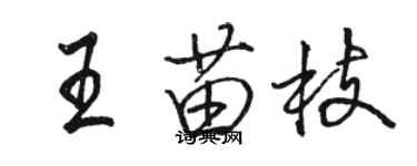 駱恆光王苗枝行書個性簽名怎么寫