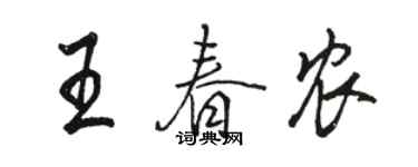 駱恆光王春農行書個性簽名怎么寫