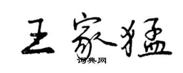 曾慶福王家猛行書個性簽名怎么寫