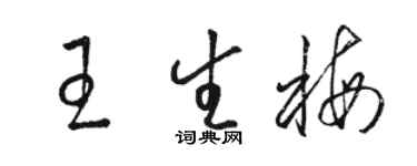 駱恆光王生梅草書個性簽名怎么寫