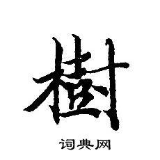 轉輪聖王經寫的樹